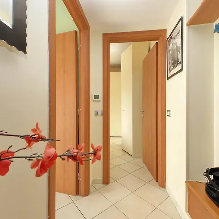 Family Comfort Hub Roma